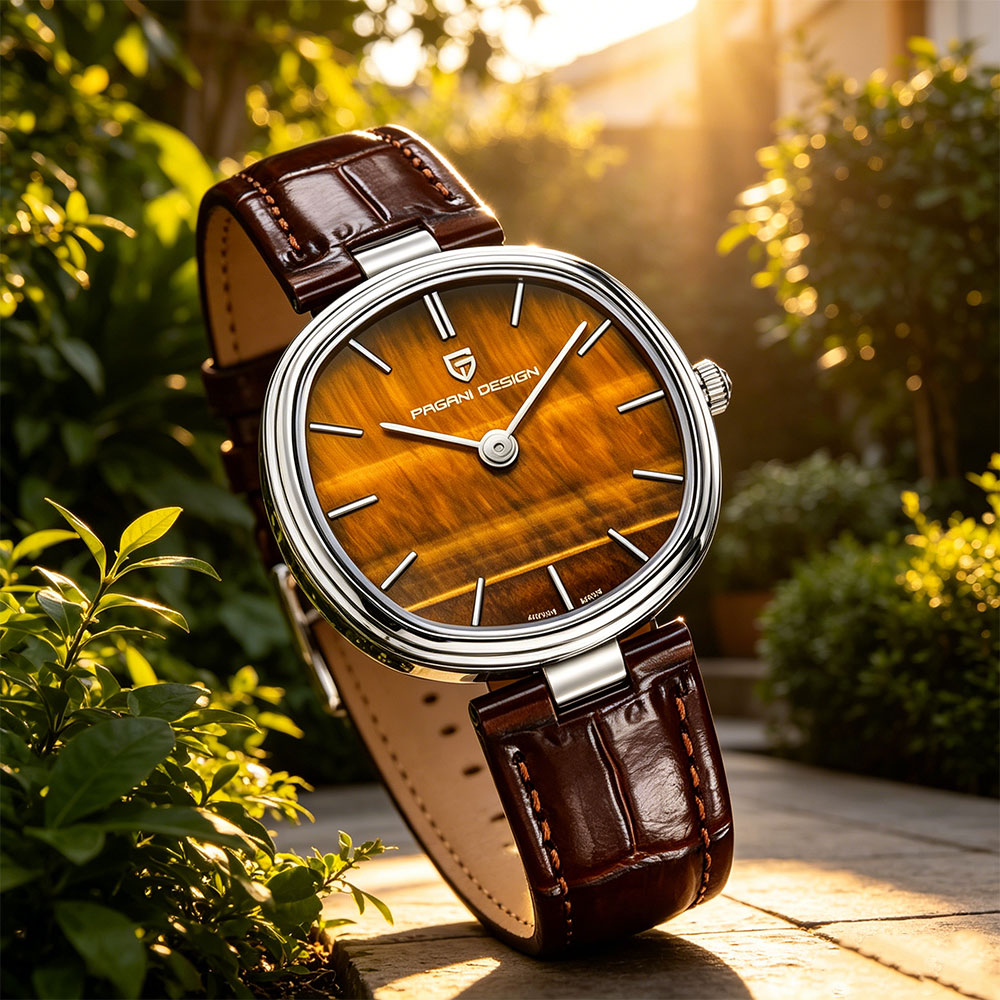 PAGANI DESIGN 2026 New Quartz  - مراجعة Anti-Magnetic Watch وسعره