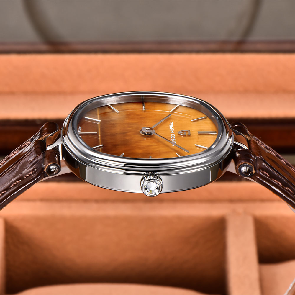 PAGANI DESIGN 2026 New Quartz  - مراجعة Anti-Magnetic Watch وسعره